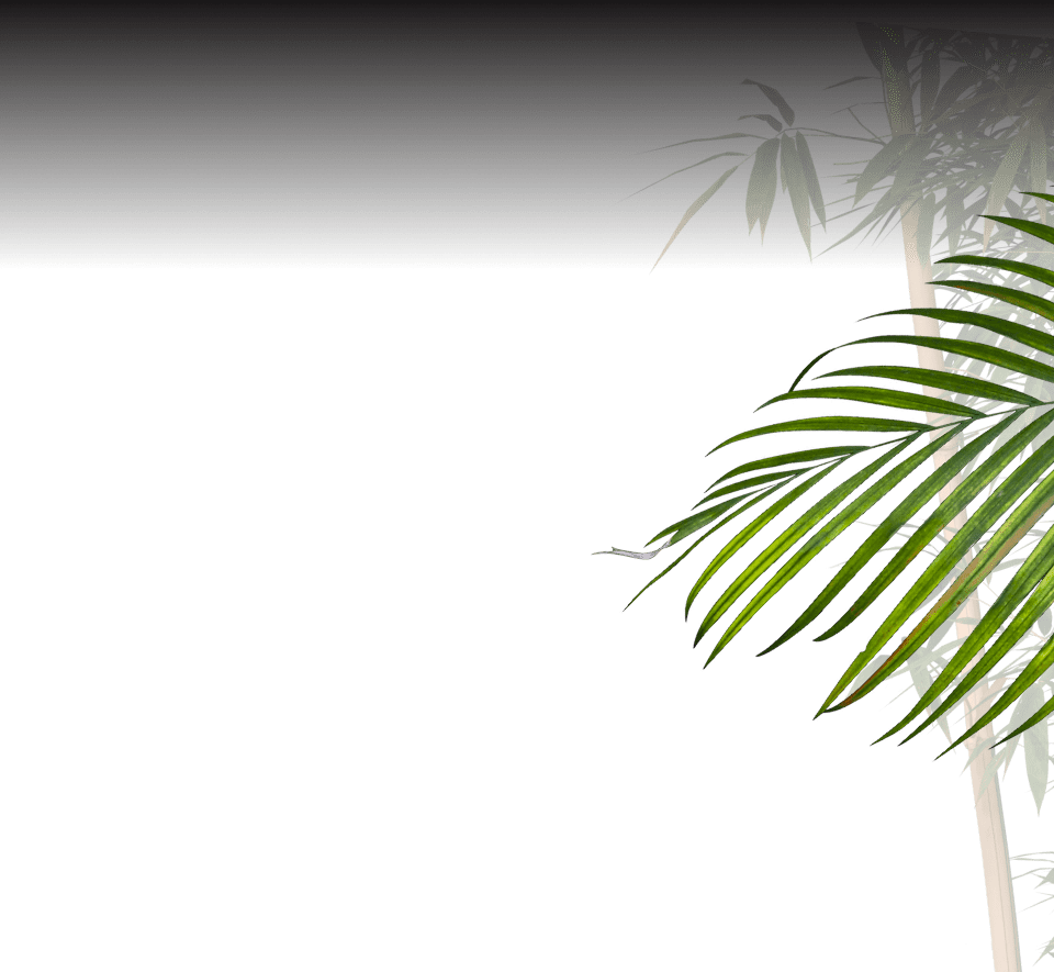 Palm Image